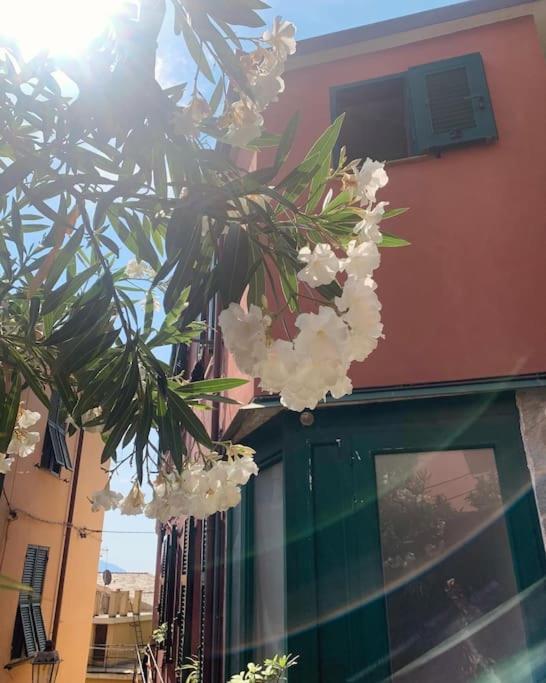 Historic Downtown Home By The Sea With King Bed Monterosso al Mare Eksteriør bilde