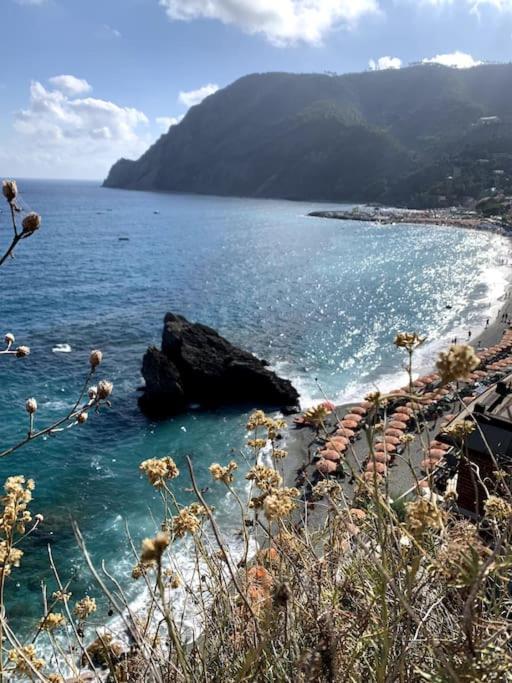 Historic Downtown Home By The Sea With King Bed Monterosso al Mare Eksteriør bilde